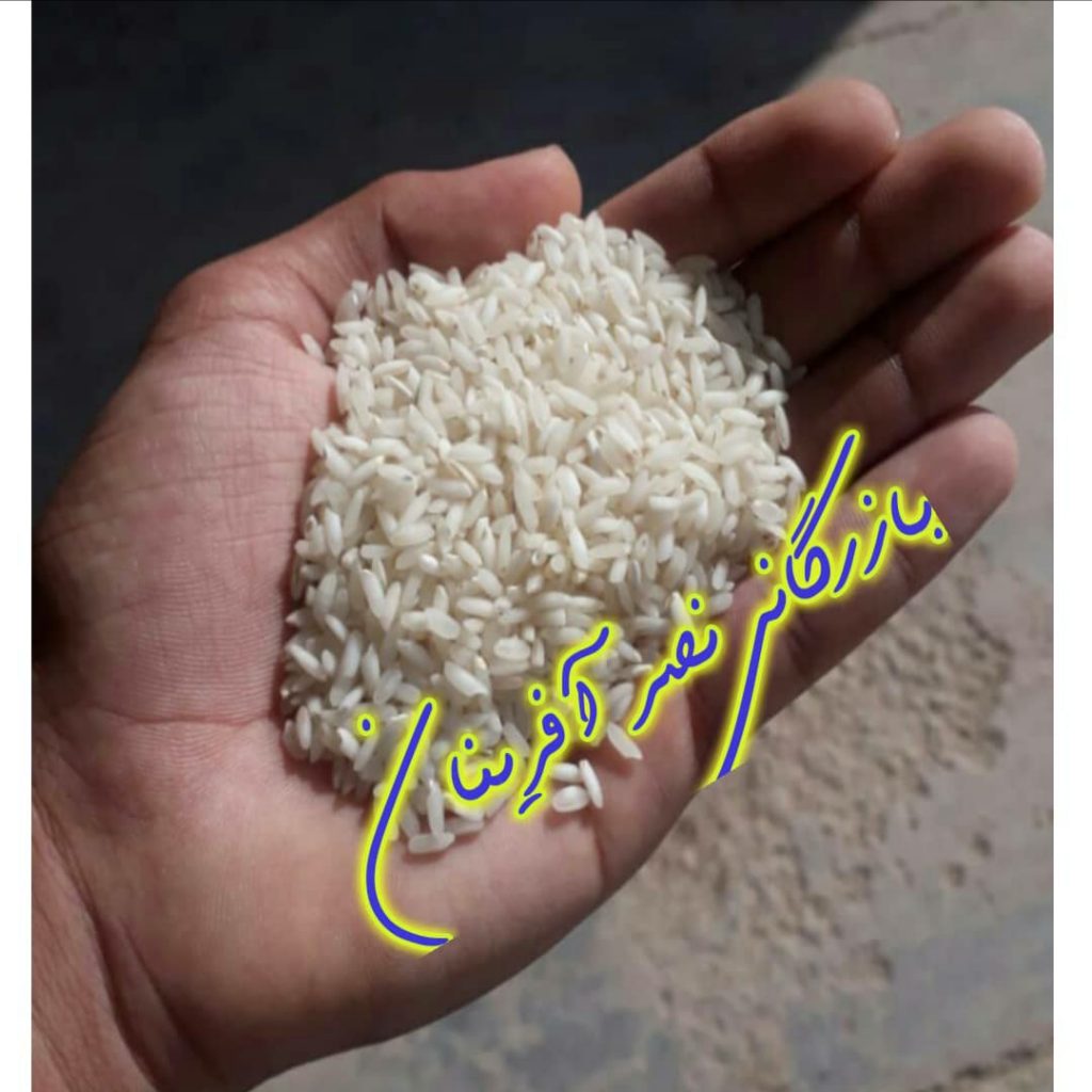بازرگانی برنج نصر آفرینان