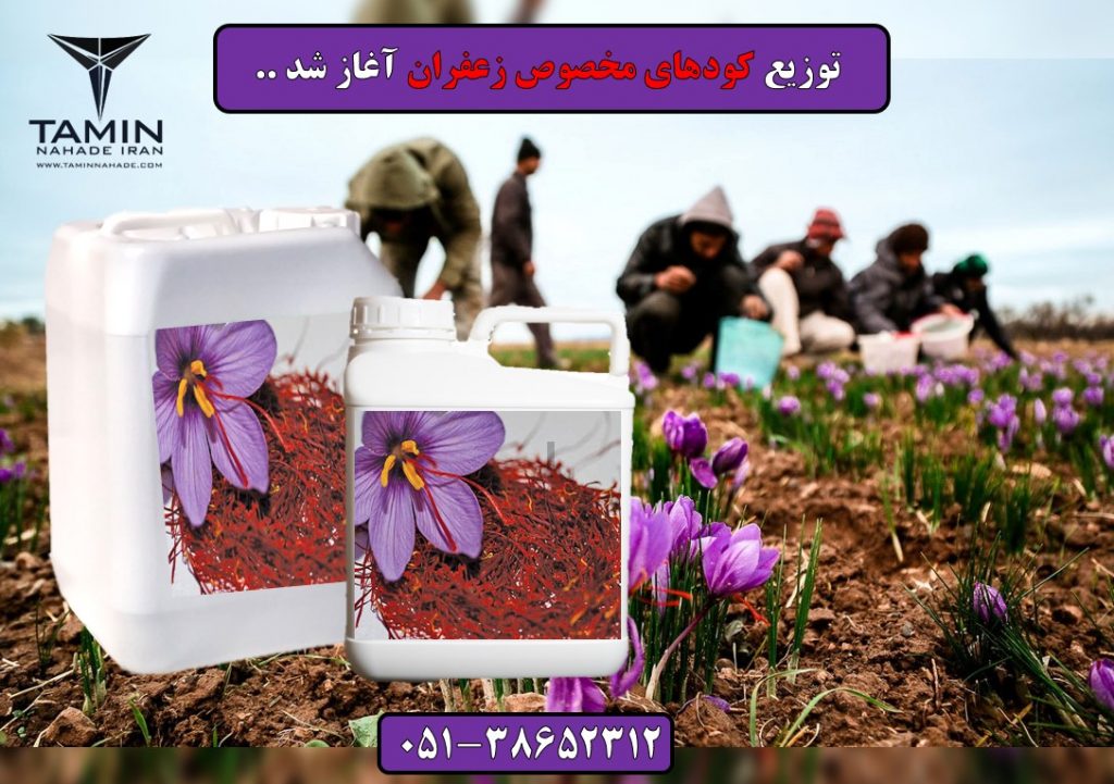 ارزان ترین کود زعفران