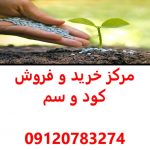 مرکز خرید و فروش سم و کود در تهران – فروشگاه سم و کود در تهران