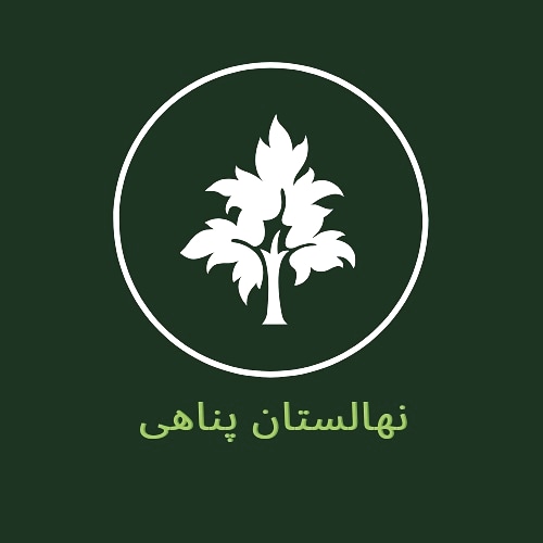 فروش ویژه صنوبر