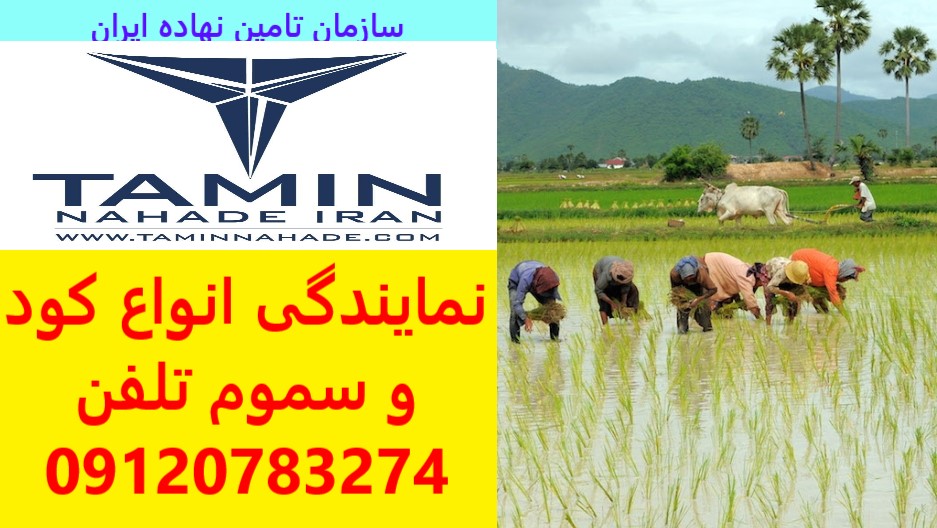 نمایندگی کود و سم در بیرجند بجنورد مشهد.کلی و جزئی