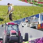 فروشگاه کود و سم در تهران – فروشنده کود و سم در تهران