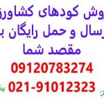 فروش ویژه کودهای کشاورزی و صنعتی و پالایشگاهی با ارسال و حمل رایگان در ایران