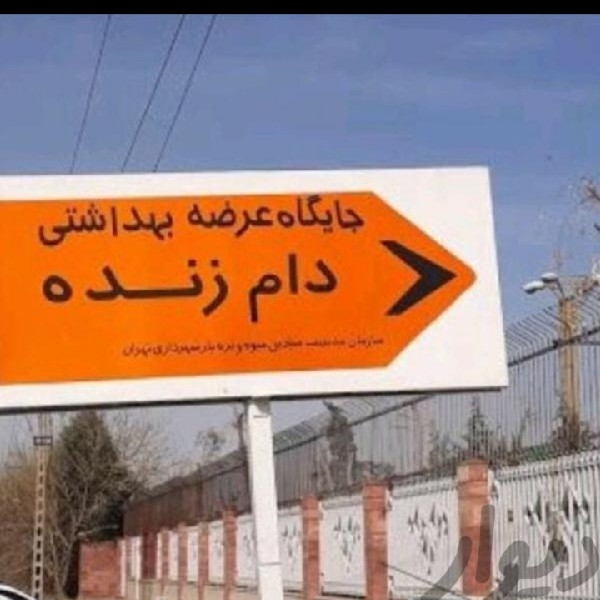 گوسفند و دام زنده شهرداری
