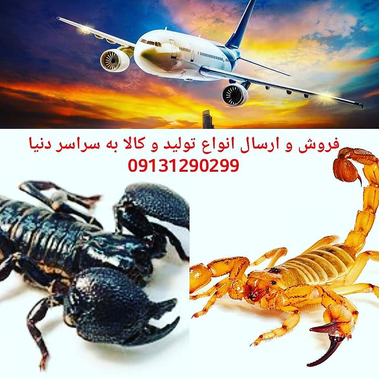 دفتر پست و باربری آرتا مهر سپاهان