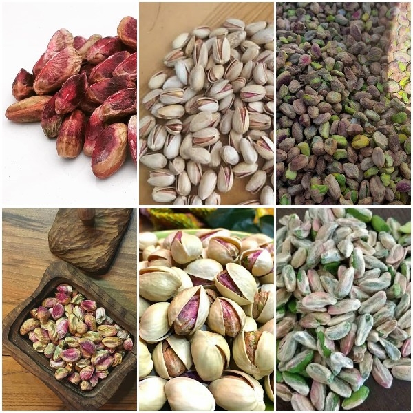 تهیه پسته بدون واسطه