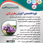 فرصت استثنایی برای کسب مهارت زعفران کاری