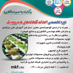 فرصت استثنایی برای کسب مهارت زعفران کاری