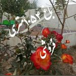 باغ ویلا ۱۰۵۴ متری
