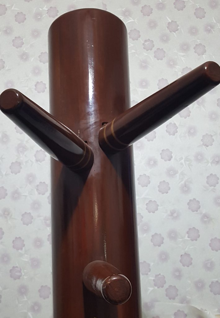 آموزش وینگ چون کونگ فو و اسکریما