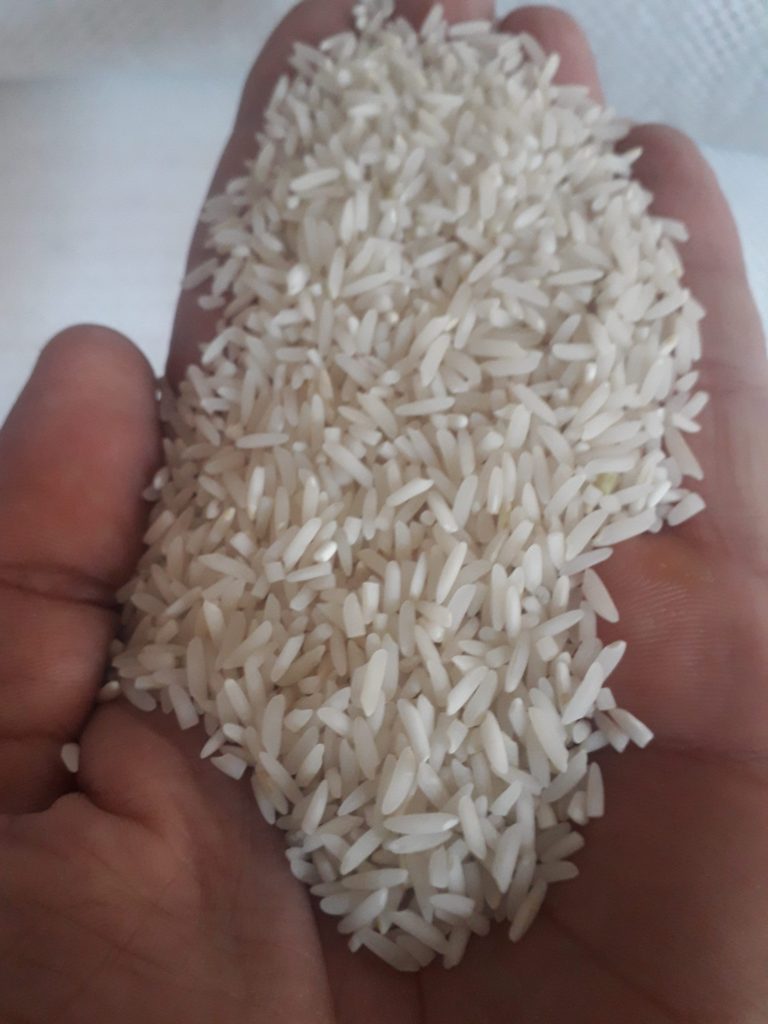 برنج طارم هاشمی درجه یک شمال