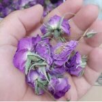 گل محمدی خشک شده اعلا بیرجند فاخر خراسان