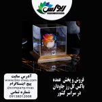 پخش عمده و تک باکس گل رز جاودان