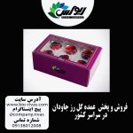 پخش عمده و تک باکس گل رز جاودان