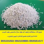 توزیع سیلیکالایت(سیلیکاژل فوق سبک) مخصوص تهیه گل خشک طبیعی