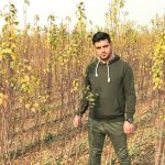 نهالستان شاهین توللی