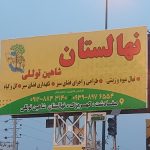 نهالستان شاهین توللی