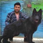 مرکز فروش سگ ژرمنشپرد