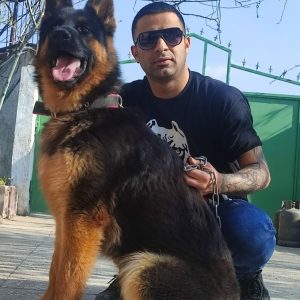 فروش سگ سفت نگهبان سگ بگیر برای ویلا و باغ