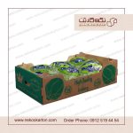 توليد انواع کارتن صادراتی میوه و سبزیجات