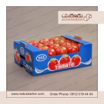 توليد انواع کارتن صادراتی میوه و سبزیجات