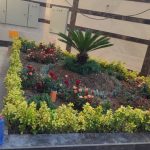 انجام کلیه خدمات باغبانی