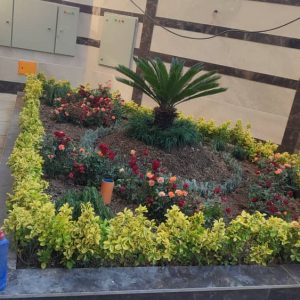 انجام کلیه خدمات باغبانی