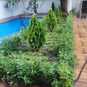 انجام کلیع امور باغبانی در سعادت آباد(0تا ۱۰۰)