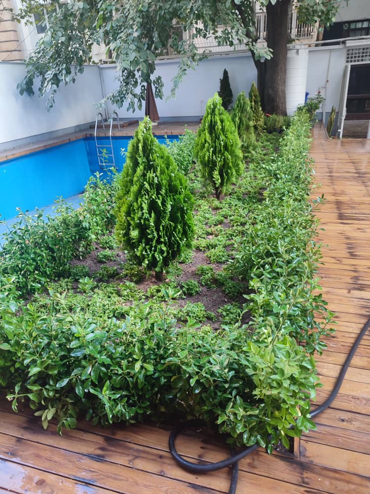 انجام کلیع امور باغبانی در سعادت آباد(0تا ۱۰۰)