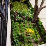 انجام کلیه خدمات باغبانی