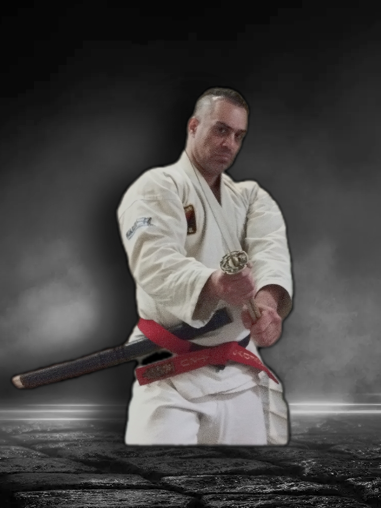 آموزش هنر رزمی کامبت جوجیتسو