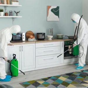 سمپاشی ساس، سوسک، موش، کنه، کک، گال در تهران و کرج