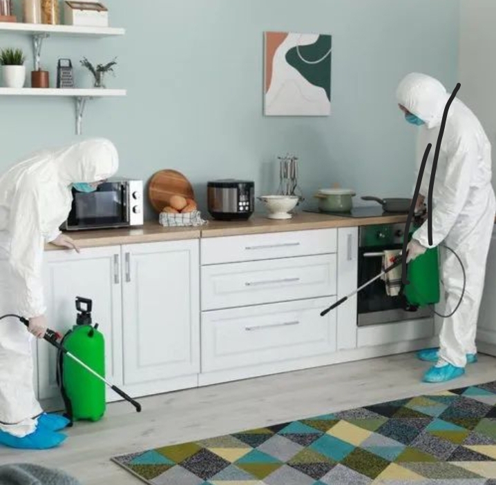 سمپاشی ساس، سوسک، موش، کنه، کک، گال در تهران و کرج