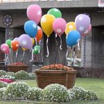 انواع گلدان های فایبرگلاس شهری و منازل