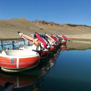 قایق موتوری گرد هشت نفره در رنگ های مختلف