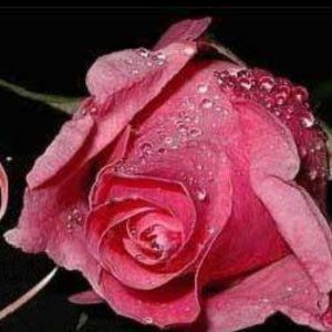 آشنایی با خانم مسیحی