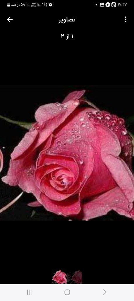 آشنایی با خانم مسیحی