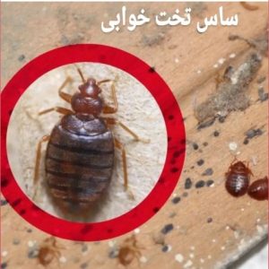 سم‌پاشی تهران سم‌پاشی ساس
