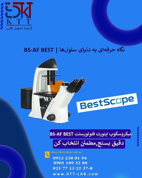 میکروسکوپ اینورت فلوئورسنت BS-AF BEST | دقت پیشرفته در تصویربرداری سلولی
