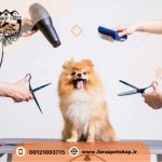 آرایشگاه حیوانات شمال تهران