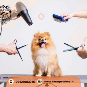 آرایشگاه حیوانات شمال تهران