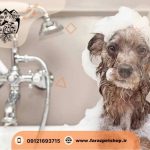 واکسیناسیون حیوانات کرج