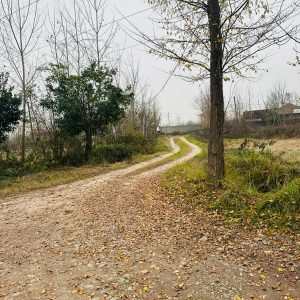 زمین ۳۶۲ متر فروش فوری