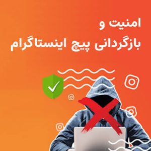 بازگردانی پیج (امنیت پیج)