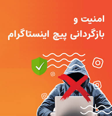 بازگردانی پیج (امنیت پیج)