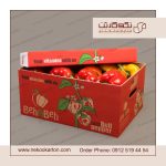 کارتن فلفل دلمه صادراتی لیبل فلفل دلمه صادراتی